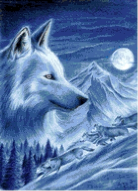Волк и волчица (Пара волков)